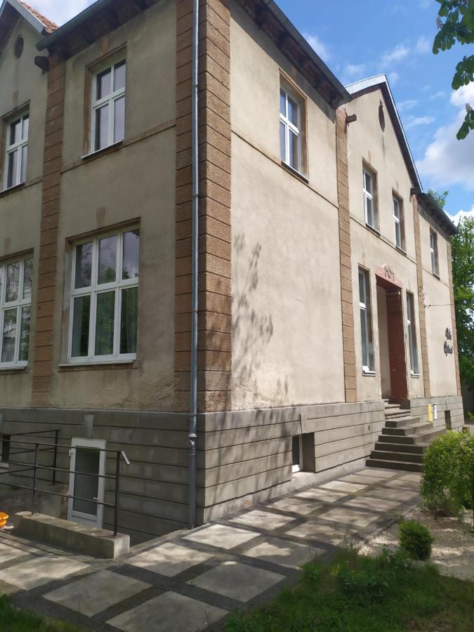 Feniks Pokoje Goscinne Malbork Exterior foto